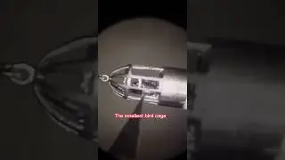 Amazing skills, Artist carving pencil tip🤯🔥