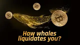How Whales Liquidates You? | Crypto Link | Manipulation