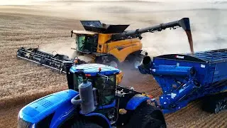 New Holland CR 9.90 harvesting wheat 2024