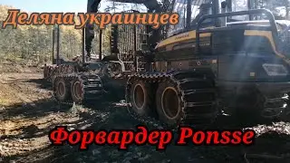 Форвардер Ponsse. Ходим по деляне.