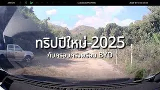 BYD Dolphin Steep Hill Climbing