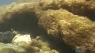 Savaii Western Samoa ray Mears S1E4 part 2