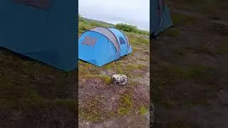 какую палатку не нужно брать))