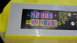 Automatic Breeding Machine 56 egg Incubator Shop  In Multan Sherwani Expres