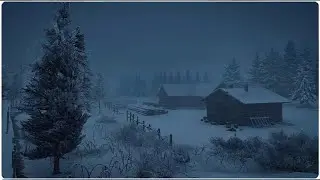 Experience 10 hours of Heavy Howling Blizzard Sounds at Forest Camp | Intense Snowstorm & Windy ASMR
