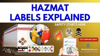 Understanding Hazmat Labels and Their Different Types