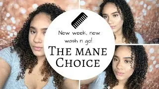 Chit Chat Wash n go review! Using The mane choice 3 in 1 conditioner and 24karat gel| HIT OR MISS??!
