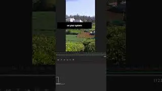Real-time Caching in Fusion. DaVinci Resolve 