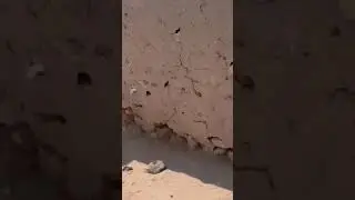Eid holidays