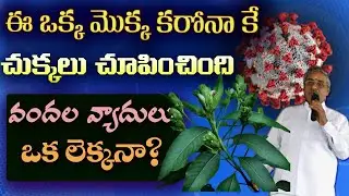 These are not plants...panaceas for all diseases | Ayurveda Plants Amazing Benefits | #naturalmed...