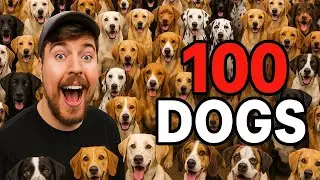 Mrbeast adopted 100 dogs 🐕 ❤️ @MrBeast
