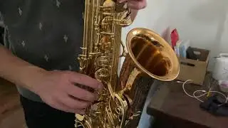 Yanagisawa AWO20 Alto Saxophone Demo