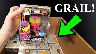 I purchased Funko Pops worth $5123.76 (Collections Full of Grail Pops)