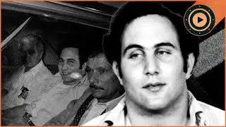 The Son Of Sam: The Killer Who Shook New York