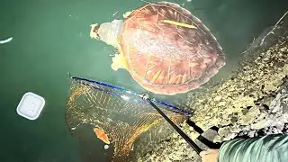 ホモサピさんと巨大投網で漁港の怪物取って食う【前編】