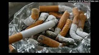 Amathug Trapstar - Cigarro