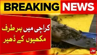 Shocking Conditions in Karachi | Flies Everywhere | Public Health At Risk | Breaking News