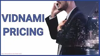 vidnami pricing