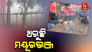 Mayurbhanj Freezes at 5 Degrees! Odisha Records Intense Cold Wave | Winter Season | NandighoshaTV