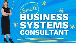 Small Business Systems Consultant Case Study