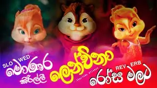 Tharindu Dilshan Song Collection | Chipmunk version | Slowed and Reverb | Visha Recodz