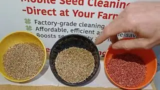 Wolden seed cleaning .Sorted seeds.#agriculture #seedcleaning #farming #farmharvest 