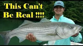 Taxidermist finds incredible items inside a Trophy Striped Bass stomach !