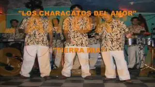 Los Characatos Del Amor - Tierra Mia