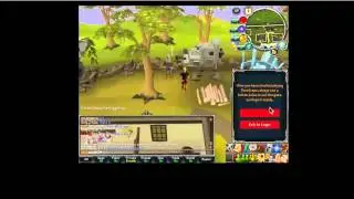 emis62 pking? omgwtfbbq