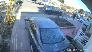 person with dog big black guy garage #poop