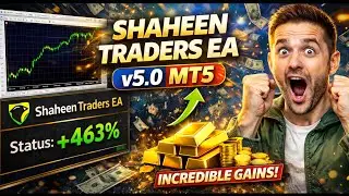 Shaheen Traders EA V5.0 MT5 Review: Parodic Gains on Volatile Pairs