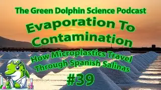 Evaporation to Contamination: How Microplastics Travel Through Spanish Salinas