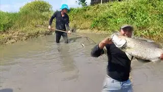 Bữa nay cùng bạn đi bớn nước ao ra bắt cá quá đã tay luôn cả nhà ơi 🐟
