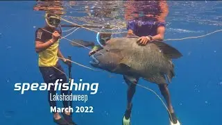 Huge Napoleon wrasse caught from Lakshadweep reef