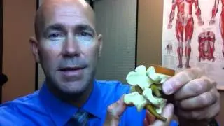 Mechanical Misalignments of the Spine | Dr. Mike Robb, Fix24 Scottsdale Chiropractic