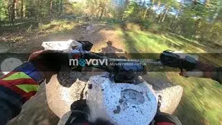 Pstraze 2017 Novavi