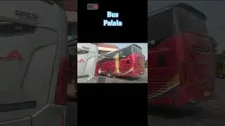 Bus palala terminal kampung rambutan #shortvideo #busmania #buspalala #bussumbar #busindonesia