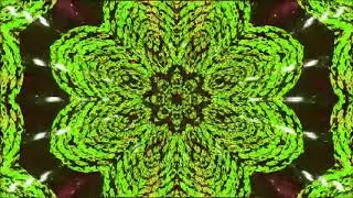 Psychedelicious