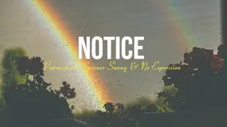 Pierre Leck, Spinner Sunny & No ExpressioN - Notice ( vizualizer )