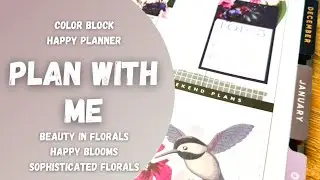 PLAN WITH ME &bull; COLOR BLOCK LAYOUT &bull; HAPPY PLANNER &bull; AUSSIE PLANNER