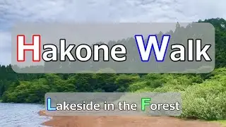 Hakone Walk / Lakeside in the forest , Greater Tokyo , Japan