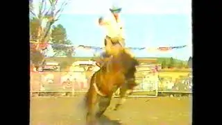 Ray Hermann Victoria 1986