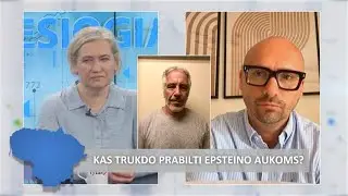 Maldeikio ir Bielskienės ginčas: Epsteino failų viešinimas – linčo teismas?