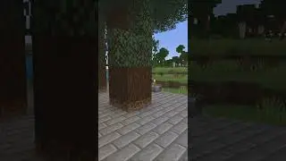 Who does that? #minecraftshorts