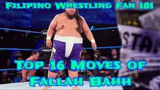 Top 16 Moves of Fallah Bahh