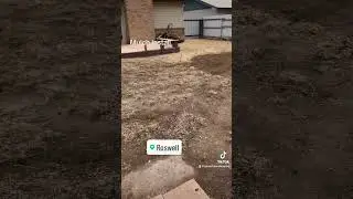 Pine Bark Install #viral #fyp #Aliencitylandscaping