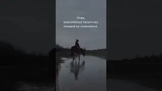 Кабардинский жеребец 🥷🏻🖤