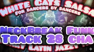 WHITE CATS SALSA 
