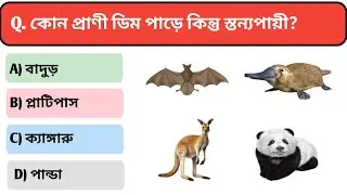 Gk Questions || Gk in Bangla || Gk Question and Answer || Gk Quiz