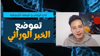 SVT |  الثانية باك | الدرس 1: تموضع الخبر الوراثي